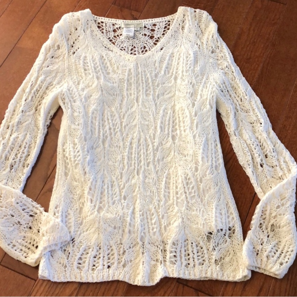 Coldwater Creek Sweater with Cammi Large